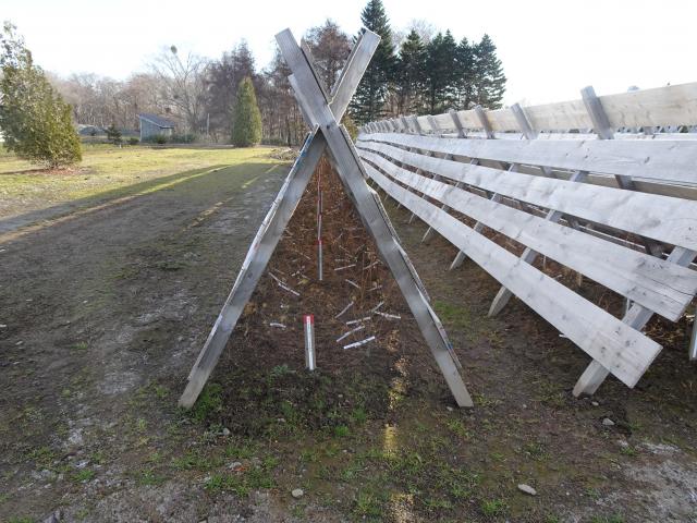 国立研究開発法人森林総合研究所 林木育種センター北海道育種場／苗木