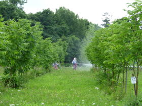 H22病虫害防除