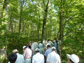 H22現地研究会ブナ採種園