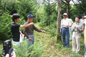 H22現地研究会ヒバ挿し木造林地