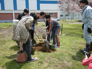 H22高静小学校ケヤキ2