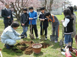 H22高静小学校ケヤキ3