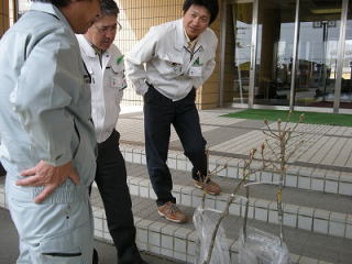H22様似町カシワ2