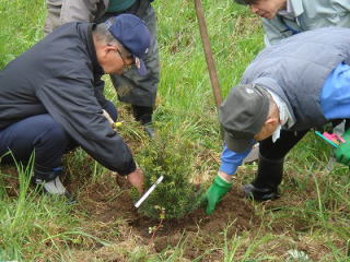 H22せたな町巣籠の松3