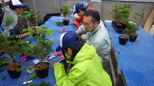H26専門学校つぎ木