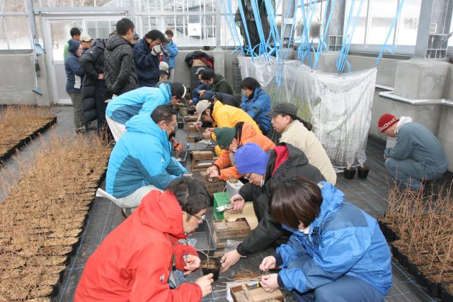 北海道林木育種技術講習会3
