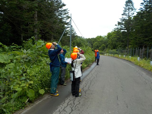 tyakka1_chikubetsu