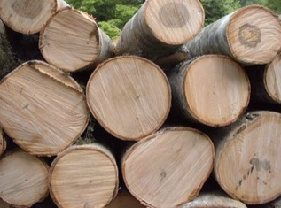 aodamotimber