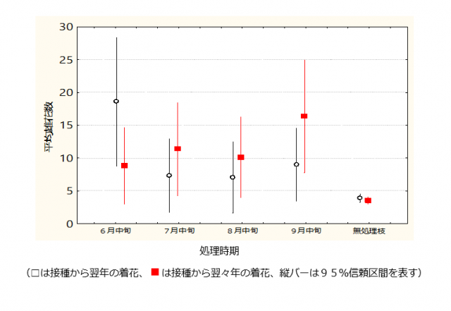 アカエゾマツの着花促進処理