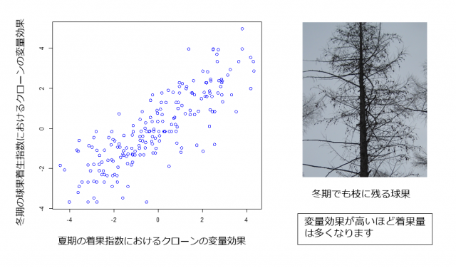 着花特性の評価手法の検討_1