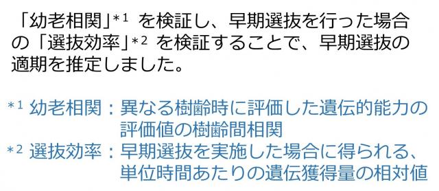育種サイクルの短縮に向けたトドマツの早期選抜_1'