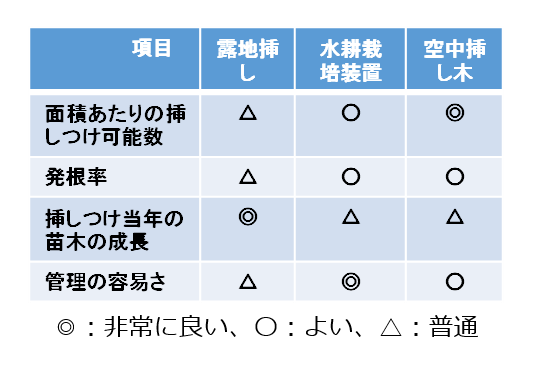 広葉樹のさし木増殖技術の開発_2