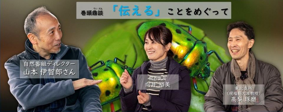 季刊森林総研No.69【特集】森の昆虫Ⅱ飼育と観察
