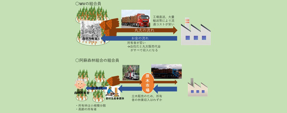 オーストリアにおいて個人の森林所有者が活発に林業を行っている要因を明らかにした