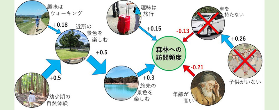東京23区の住民で過去1年間に森林を訪れたのは3人に1人