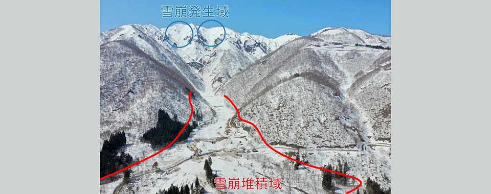 ドローンが捉えた国内最大級の雪崩の堆積厚の分布