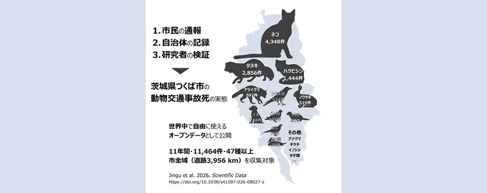 茨城県つくば市におけるロードキル（動物の交通事故死）データベースを公開
