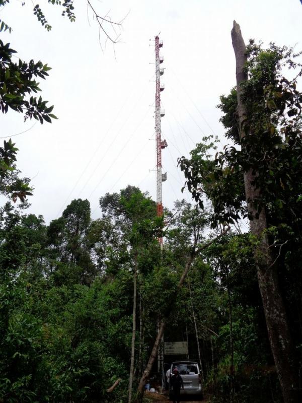カンボジア熱帯季節林に設置した57m高の観測タワー