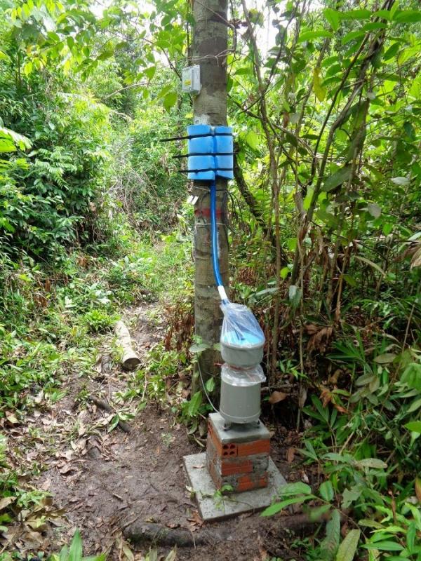 カンボジア熱帯季節林の樹木に巻き付けたマットで樹幹流を集水し、加速度センサーで樹木の揺動を計測する。