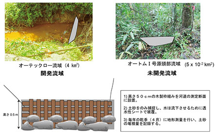 現地の調査地と調査内容の写真