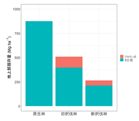原生林、旧択伐林、新択伐林で地上部現存量を比較した棒グラフです。原生林では875Mg/ha、旧択伐林では510Mg/ha、新択伐林では265Mg/haとなりました。2つの択伐林ではマカランガも地上部現存量に一部貢献しています。