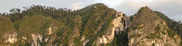 石灰岩の山に立つ林の写真