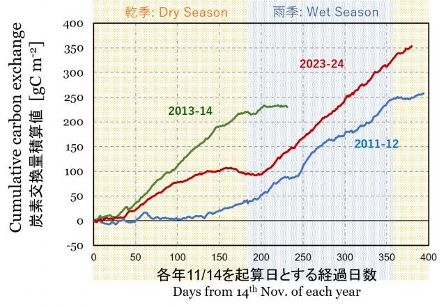 炭素交換量積算値のグラフ。森林劣化開始後の2023から2024年の値は、森林が健全だった10年前の変動範囲幅に収まっている。