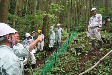 写真05.筑波共同試験地の林内で森林総合研究所の担当者が森林防災のために行っている試験について説明している様子