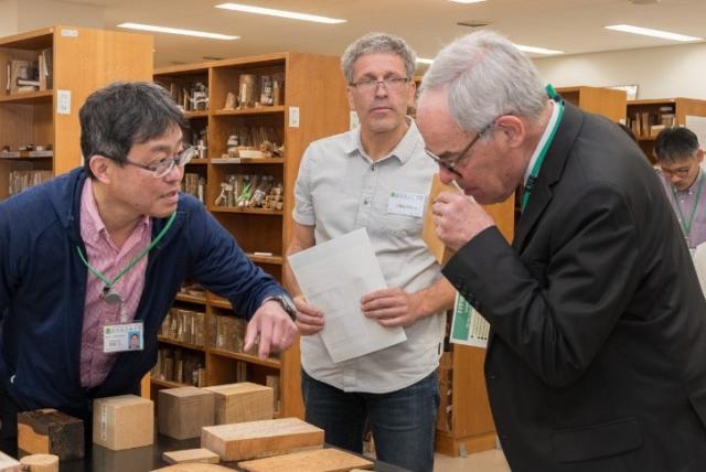 木材標本庫見学の様子