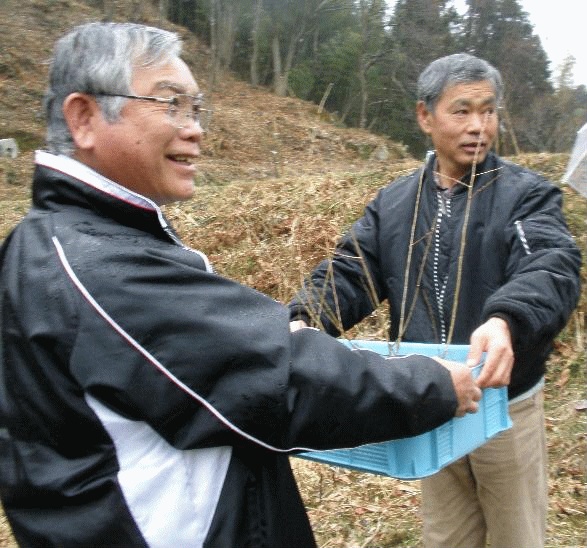 後継樹の里帰りの様子