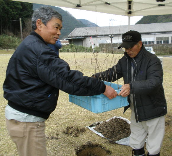 後継樹の里帰りの様子