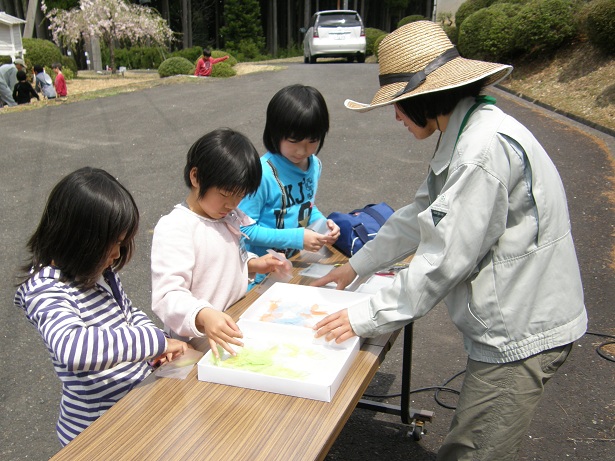 葉脈のしおり作り