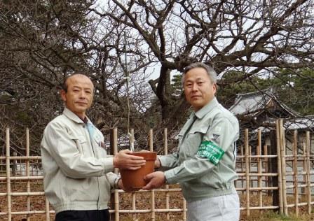 親木の前で京都御苑管理事務所長へ後継木の里帰り