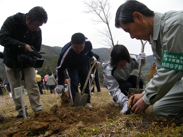 植樹の様子