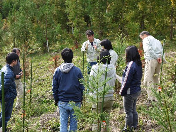 保存園や苗畑で開発品種の状況等を説明（1）