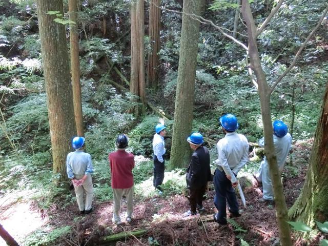 現地見学（1）