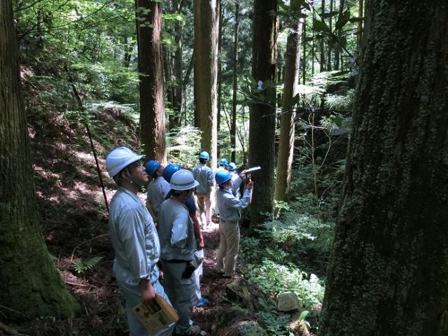 現地見学（2）