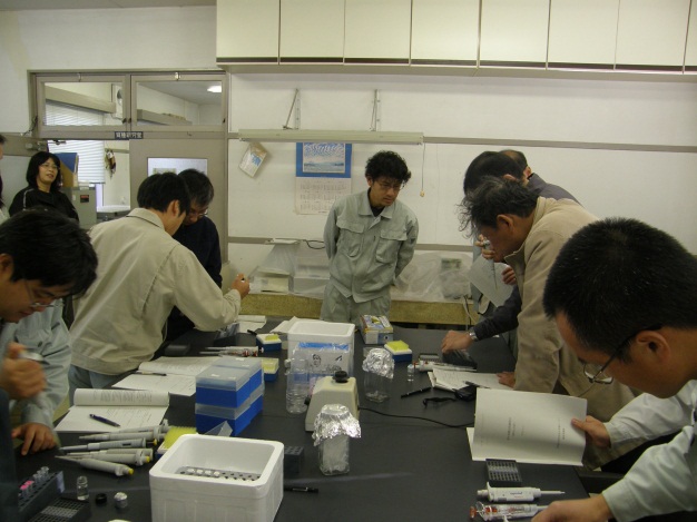 DNA分析
