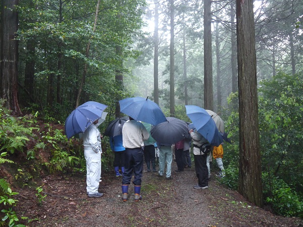 現地見学（4）