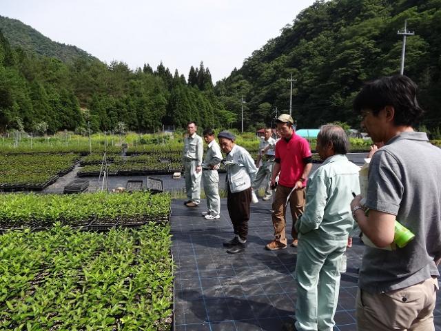 現地見学（3）