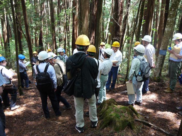 現地見学（3）