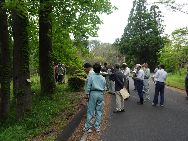 現地見学（1）
