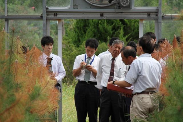 接種検定後の検定木を説明（1）