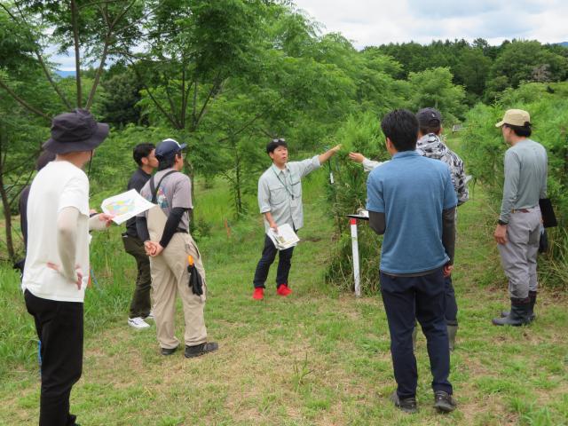 国立研究開発法人森林総合研究所 林木育種センター関西育種場