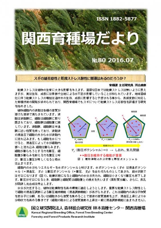 平成28年度関西育種場だよりナンバー80