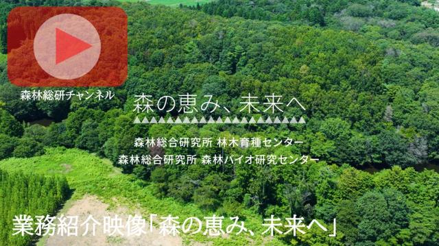 森林総合研究所林木育種センター業務紹介映像「森の恵み、未来へ」