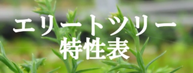 エリートツリー特性表