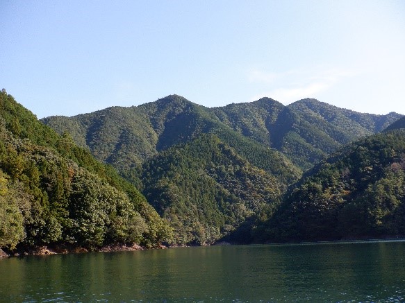 水源林造成事業地の山とダム湖水面