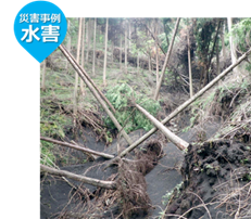 水害事例の写真