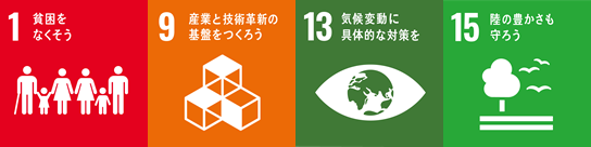 SDGsロゴ1.9.13.15